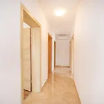 Kuca Za Odmor Zara Vila *